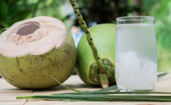 Manfaat Air Kelapa Muda: Minuman Segar yang Baik untuk Kesehatan Anda