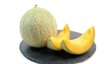 Melon