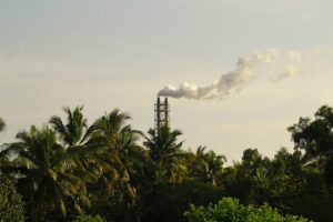 Menurunnya kualitas lingkungan