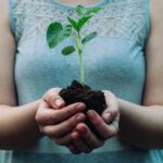 Menghidupkan Kembali Hutan yang Hilang: Rehabilitasi Lahan Kritis di Indonesia