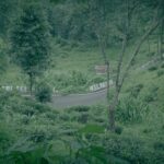 Perbukitan: Pesona Lembut Alam yang Menenangkan Jiwa