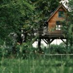 Rumah Kayu sebagai Hunian Nyaman dengan Nuansa Alami