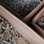 Cara Mengolah Ikan Teri agar Gurih, Renyah, dan Tidak Amis