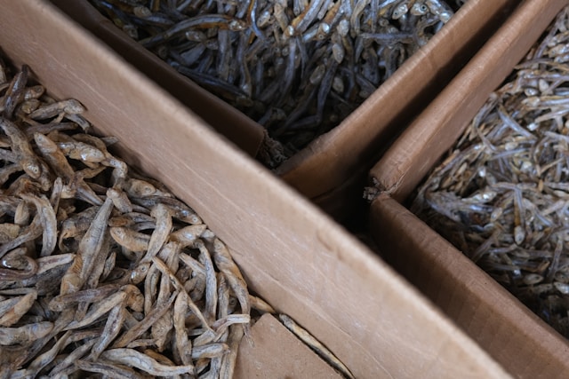 mengolah ikan teri
